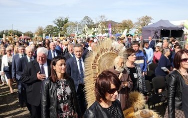 IMG_4395