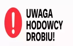 Zdjęcie do UWAGA HODOWCY DROBIU!