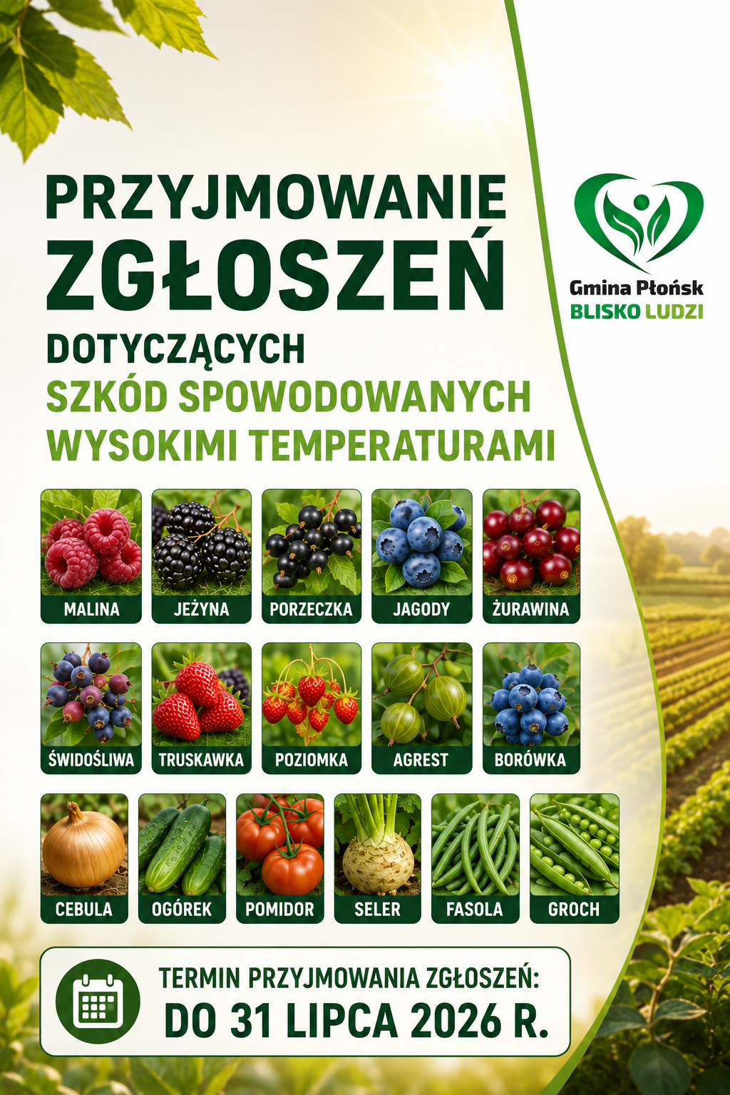 plakat