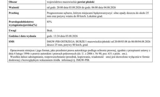 Zdjęcie do Ostrzeżenie meteorologiczne Nr 88 - burze
