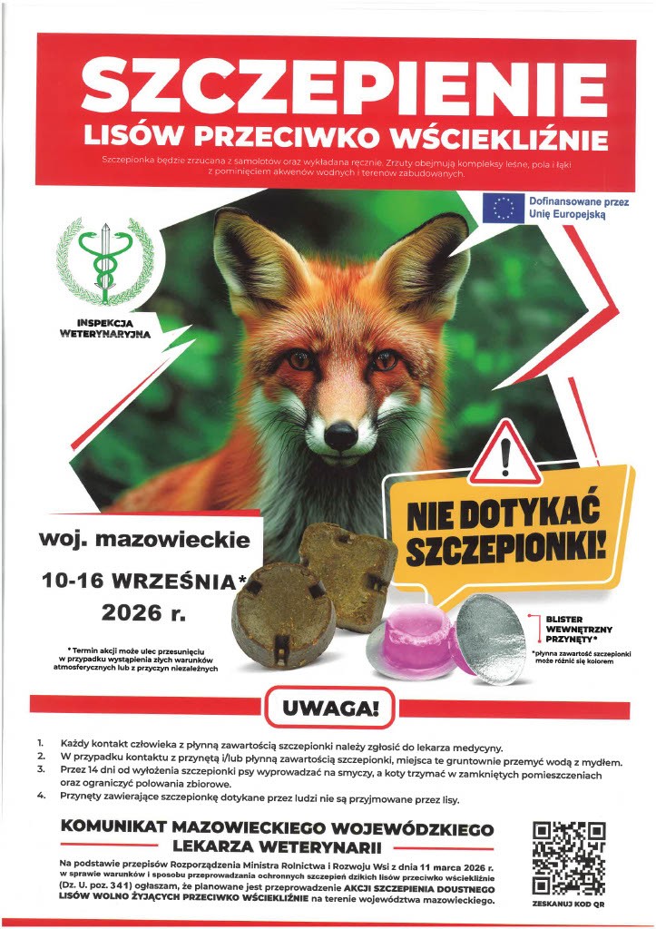 Zdjęcie artykułu z dnia 04-09-2026
