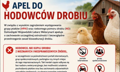 Zdjęcie do Wysoce zjadliwa grypa ptak&oacute;w (HPAI) &ndash; informacje dla hodowc&oacute;w drobiu